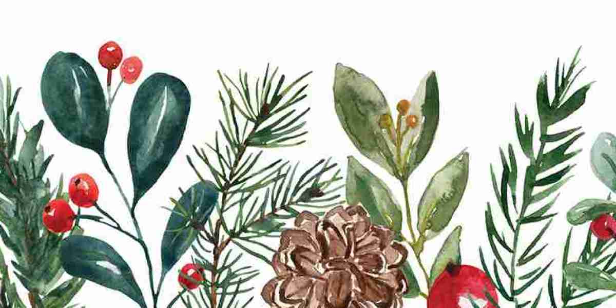 Top Residential Cleaning Companies Providing Custom Cleaning Plans