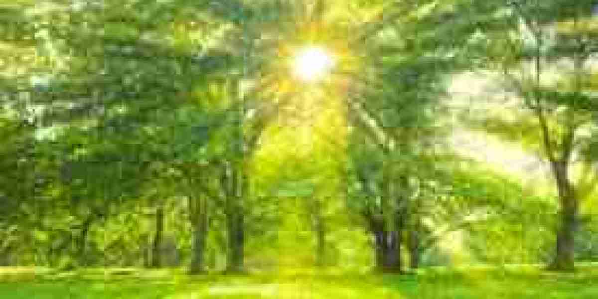 The Art of Choosing the Right Flooring: A Complete Guide for Modern Homes