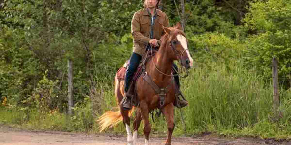 Virgin River Season 6 – Wedding Surprises & Drama