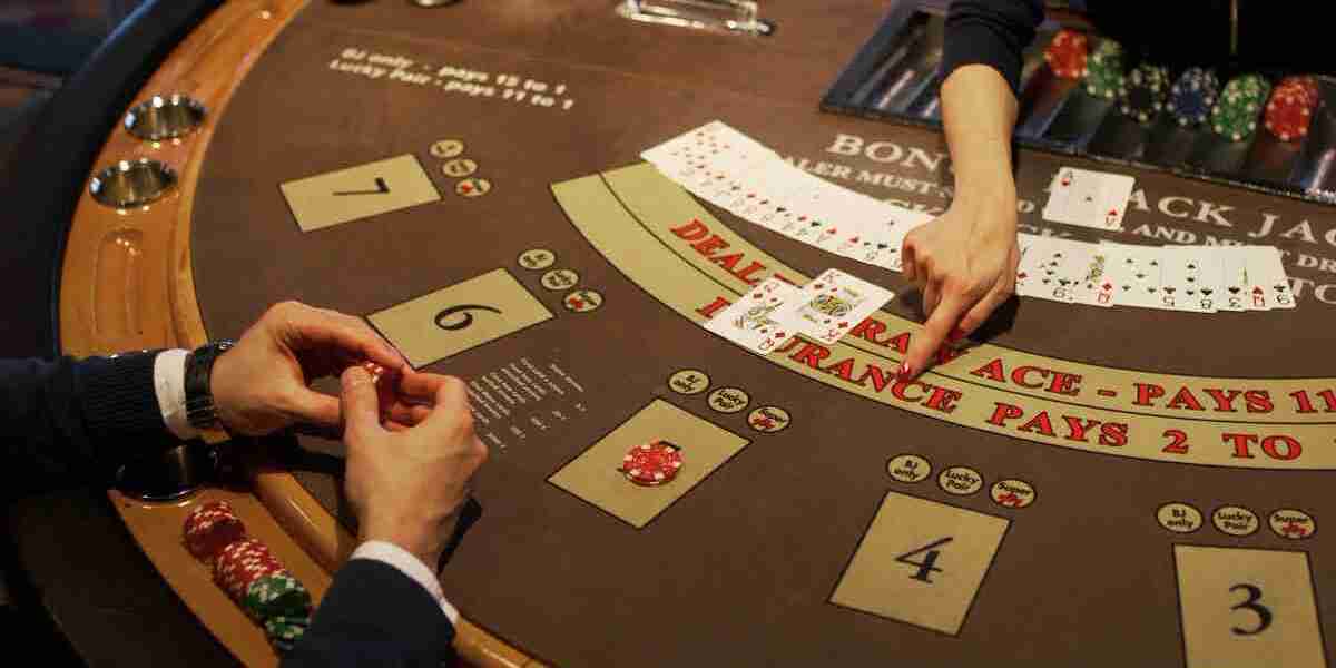 Unveiling Evolution Casino: The Essential Guide to Scam Verification with Inavegas Community