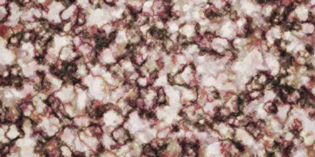 Exploring $5,000 Personal Loans for Bad Credit: A Guide to Financial Options