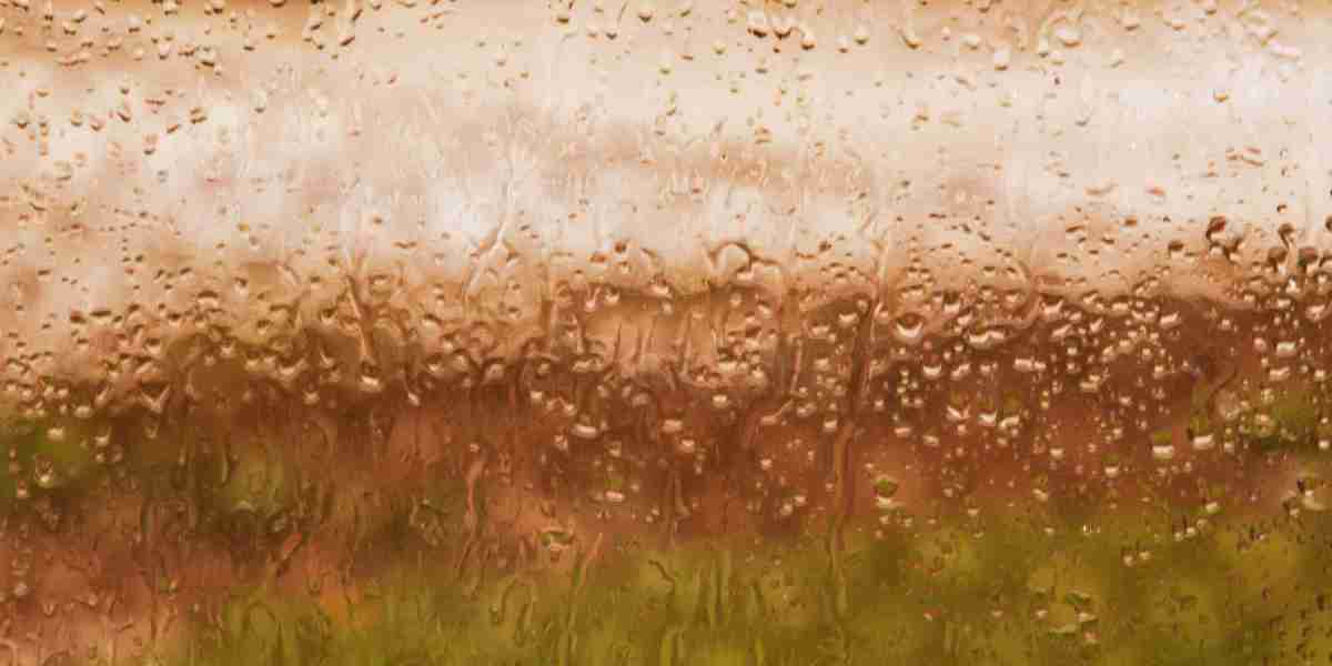 Where to Buy Modafinil In South Africa: A Comprehensive Information