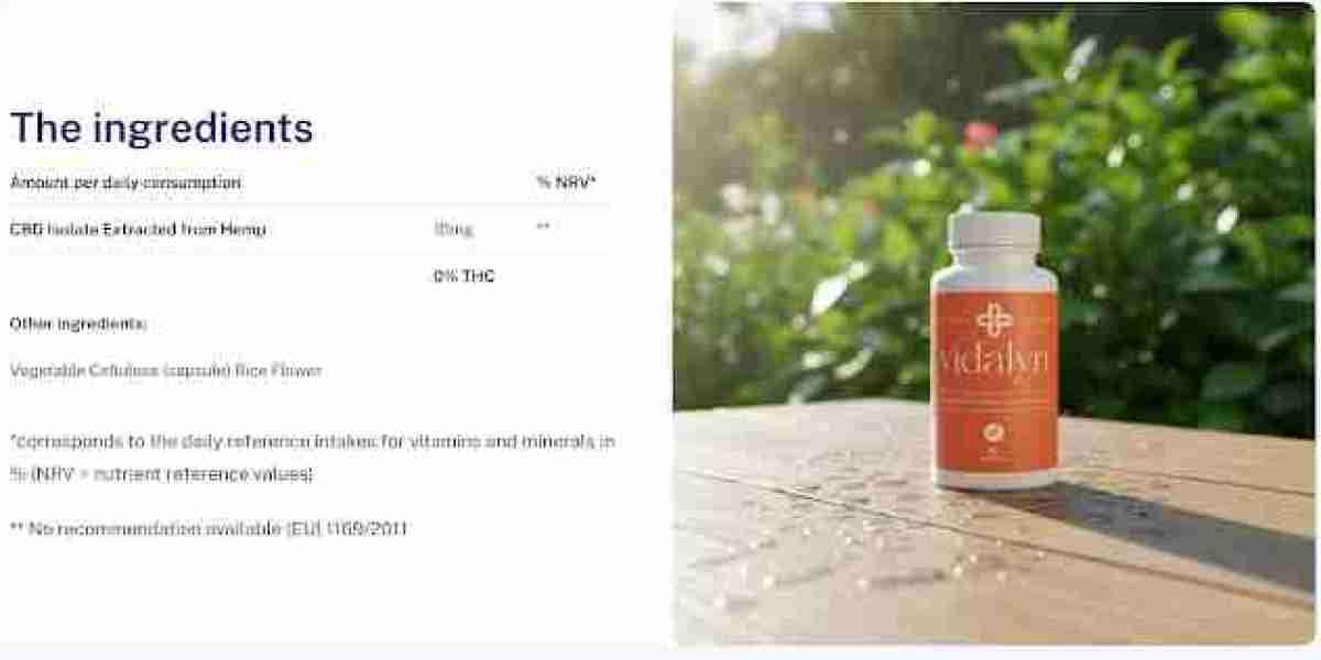 Vidalyn Capsules: Daily Wellness and Energy Support Formula