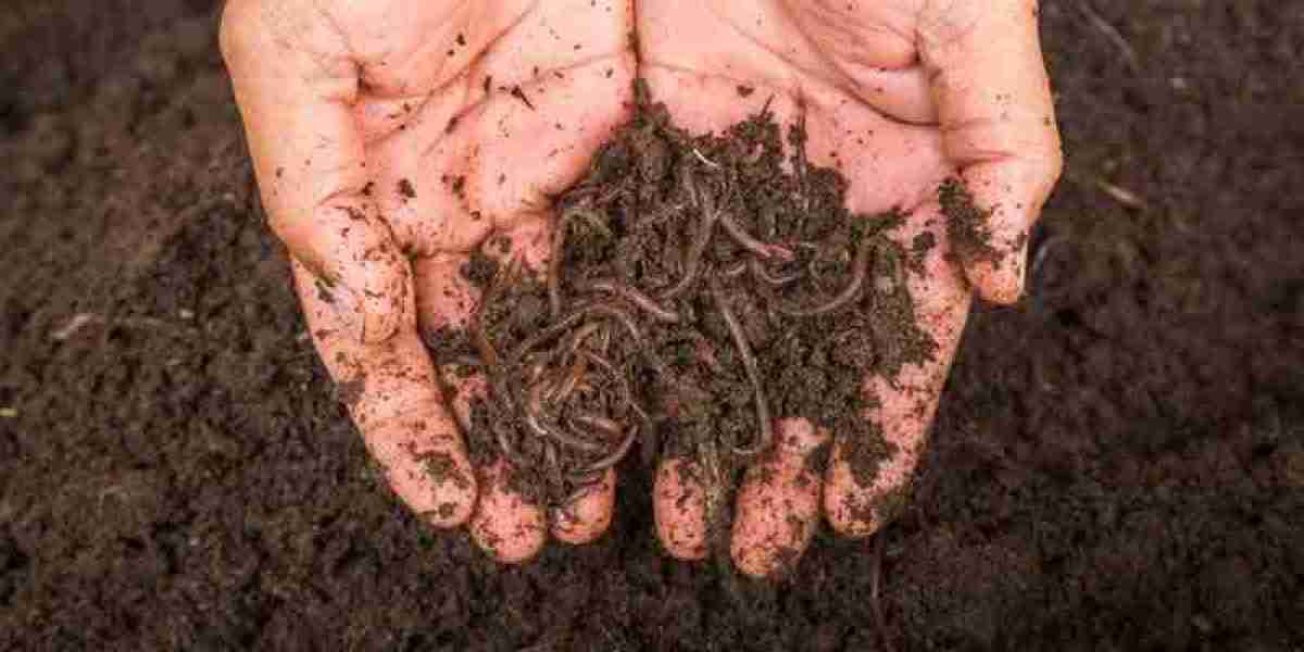 Comprehensive Approach to Setting Up a Vermicompost Manufacturing Plant | IMARC Group Report