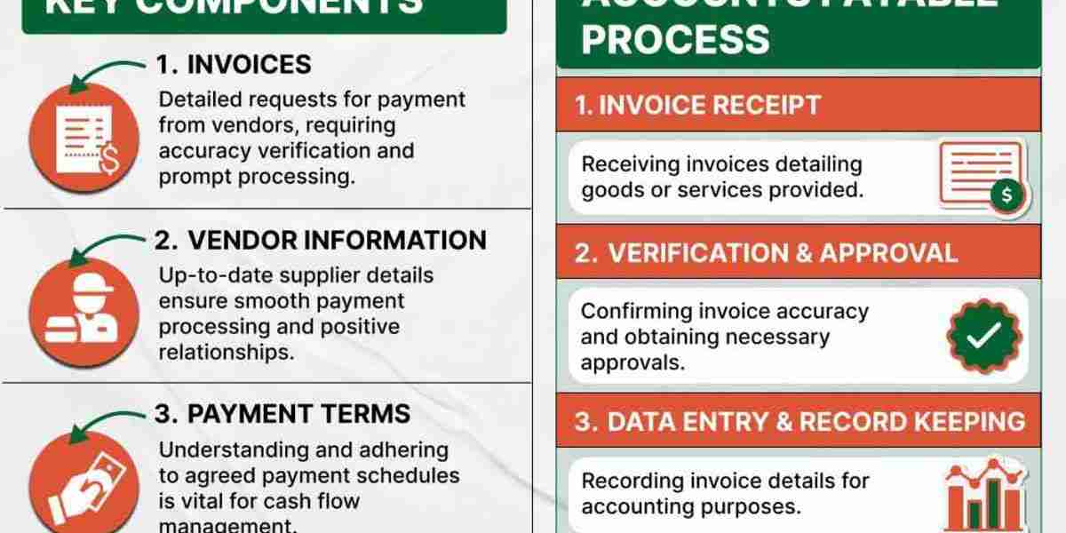 How to Use Instagram PVA Accounts Responsibly