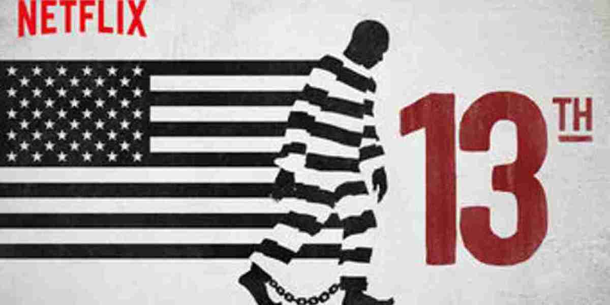 Documentary on Racial Disparities in Prison System