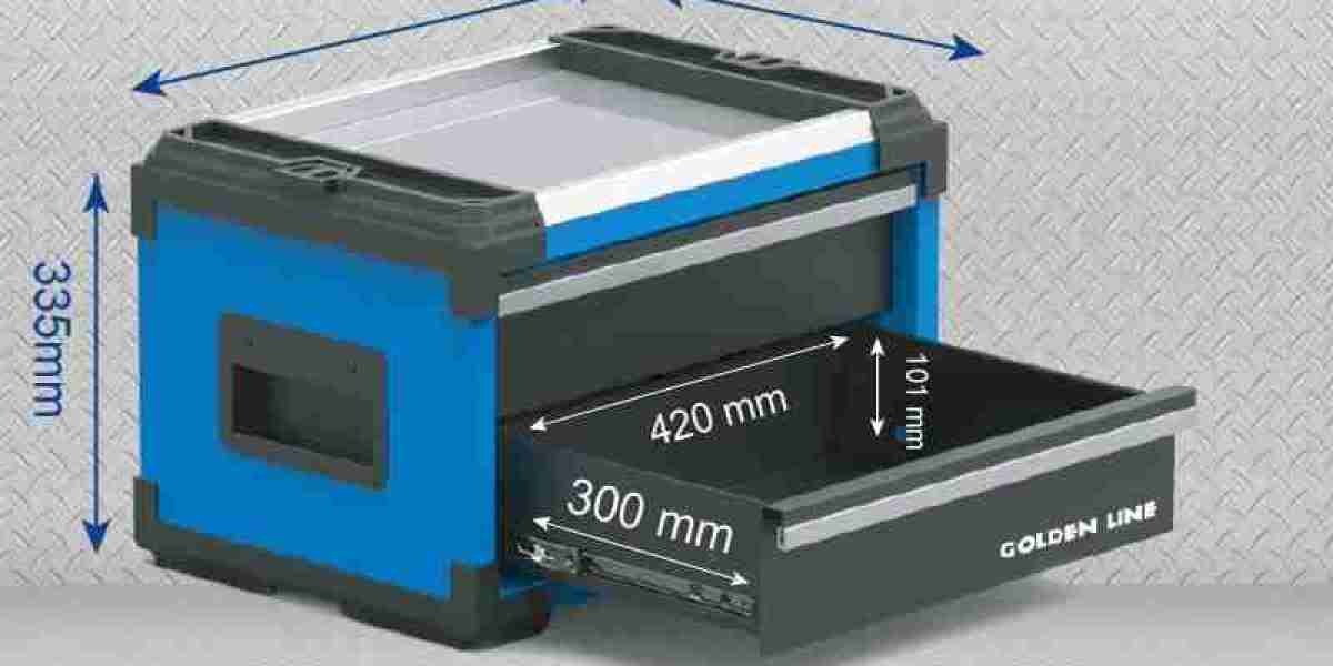 Tool Storage Cabinet OEM and ODM with Custom Size Color and Layout