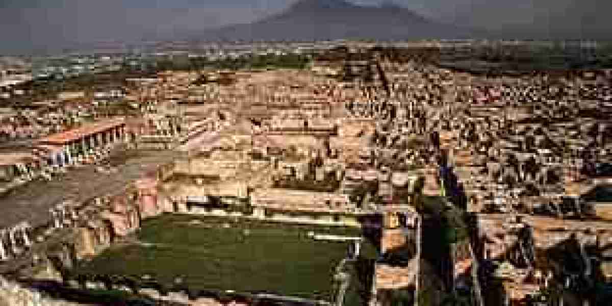 Day tour pompeii from naples