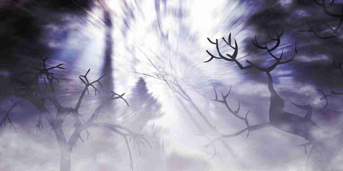 The Rise of Shared Private Flights: A New Era in Air Travel