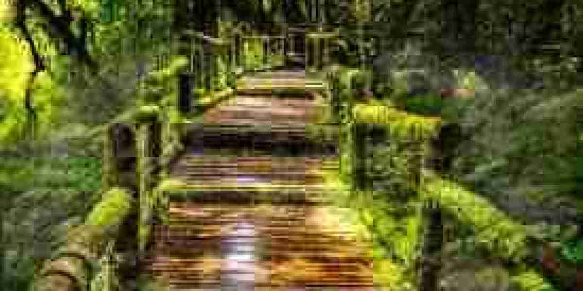 The Art of Deep Focus in a Distracted World