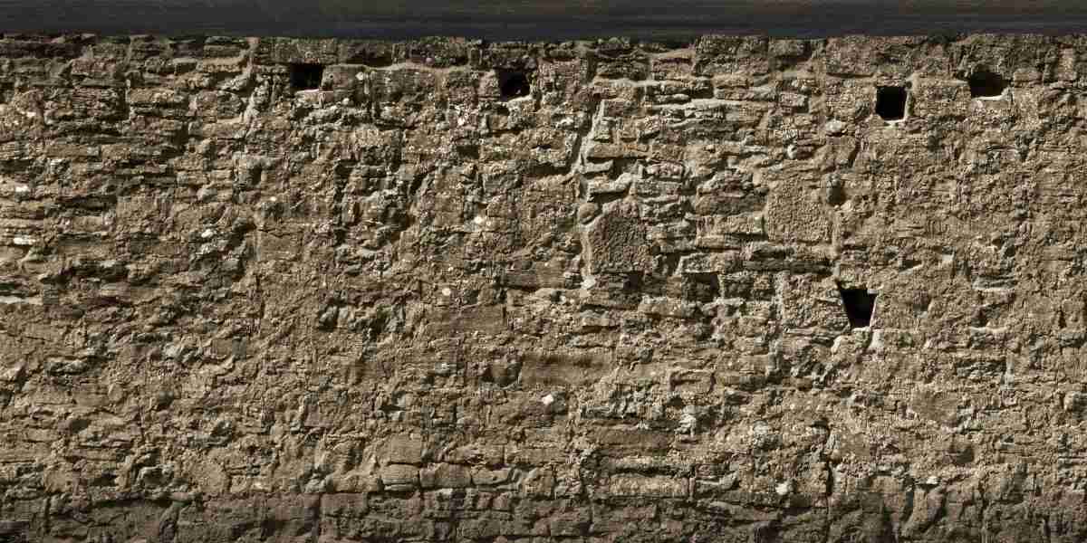 The Best Places to Buy Modafinil Online: A Comprehensive Guide