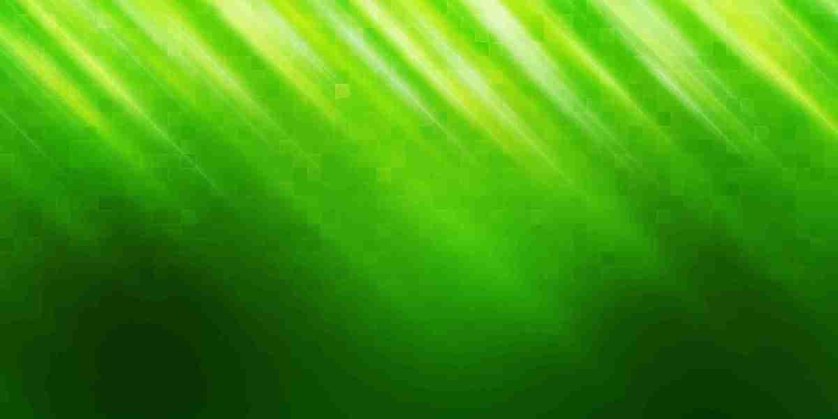 Instant Cash Loans No Credit Checks: A Case Study