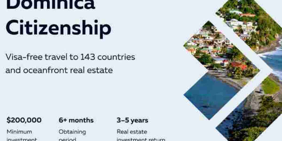 Dominica Citizenship by Investment Program for Family Security and Wealth Protection