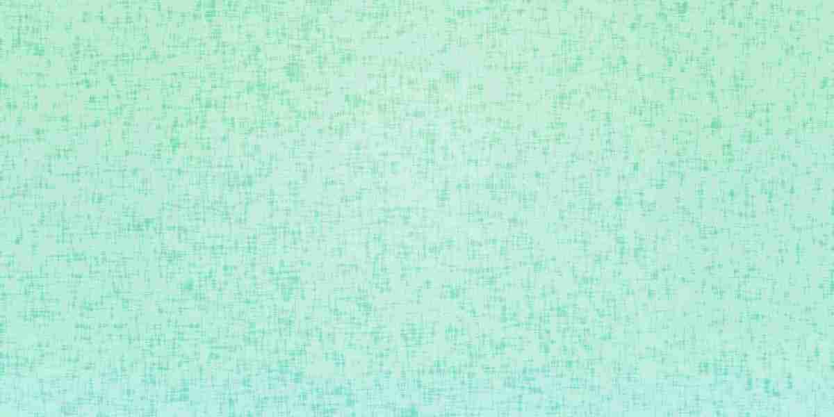 Exploring Options for No Credit Loans: A Comprehensive Case Study