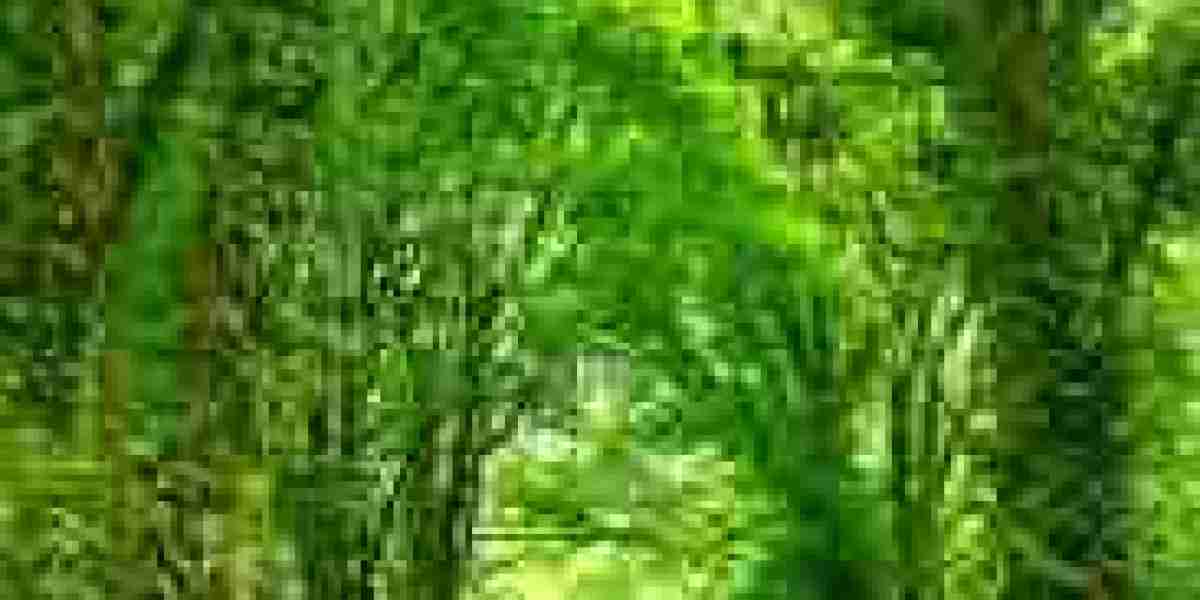 Quantum Computing in 2026: From Research Labs to Real-World Impact