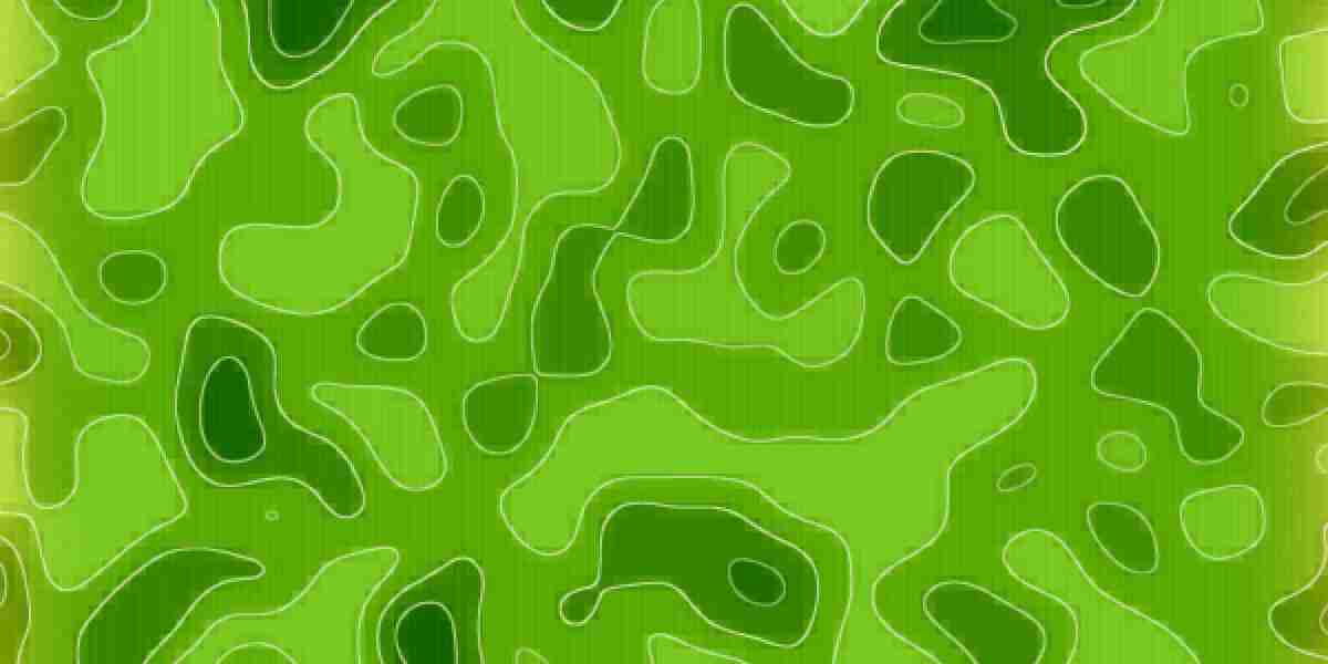 Applying for a Loan Without a Credit Check: A Comprehensive Guide