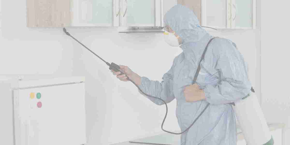 Affordable Pest Control Services in Singapore