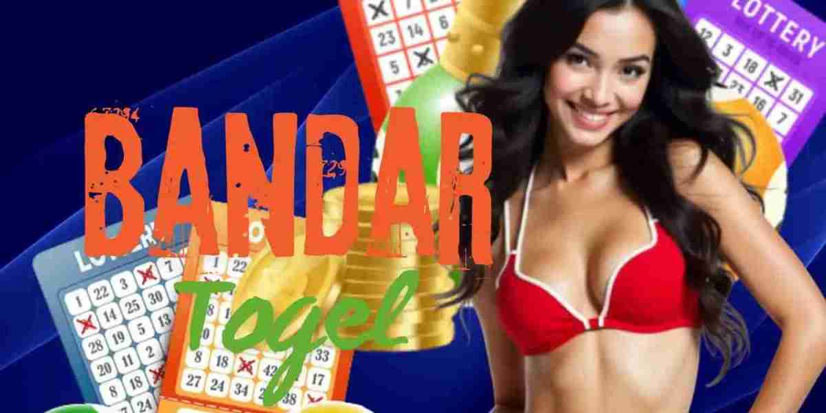 Real-Time Togel Accuracy for Smarter Betting Decisions