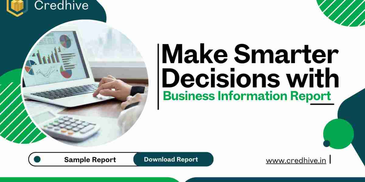 Company Credit Report Guide