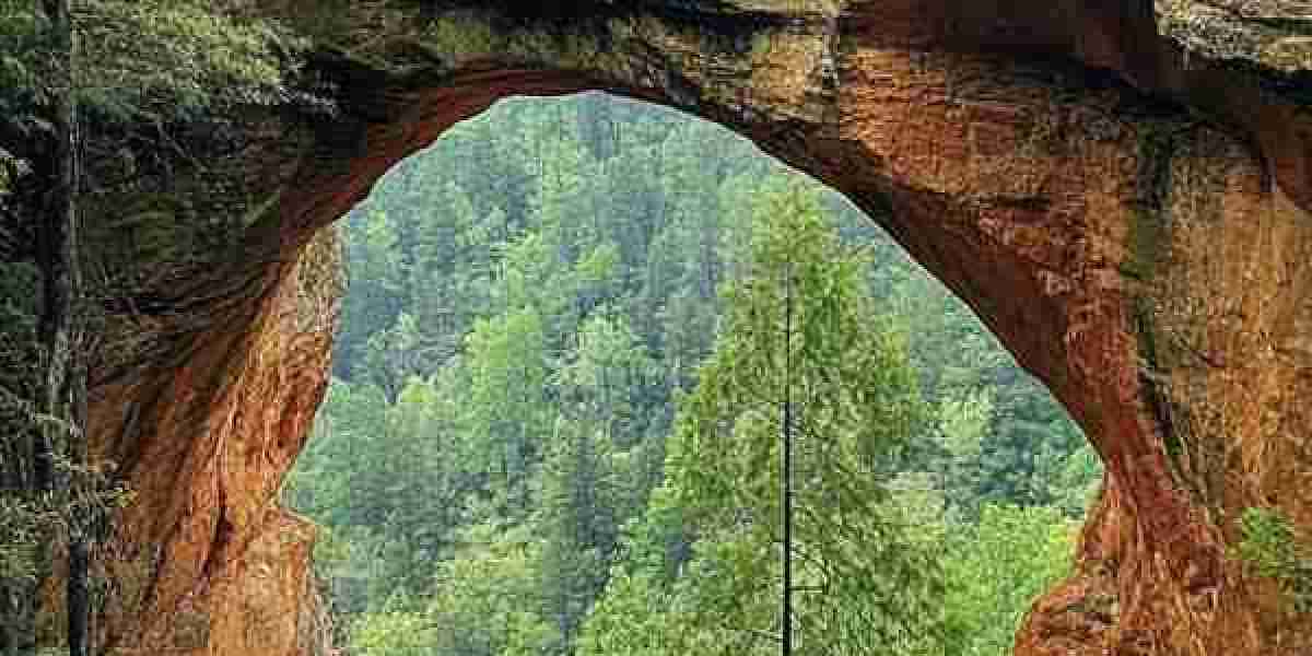 Yamamoto Dominates, Jays Get rid of 5-1