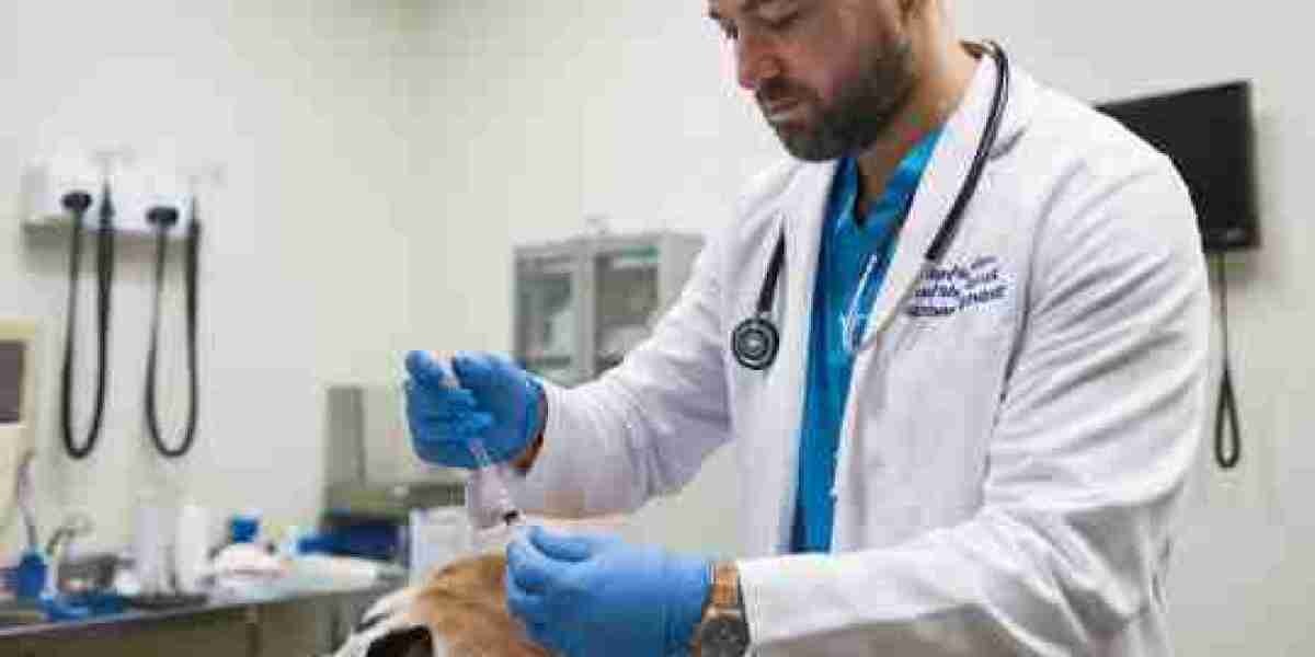 Low Cost Pet Euthanasia San Antonio: Gentle Care When It Matters Most