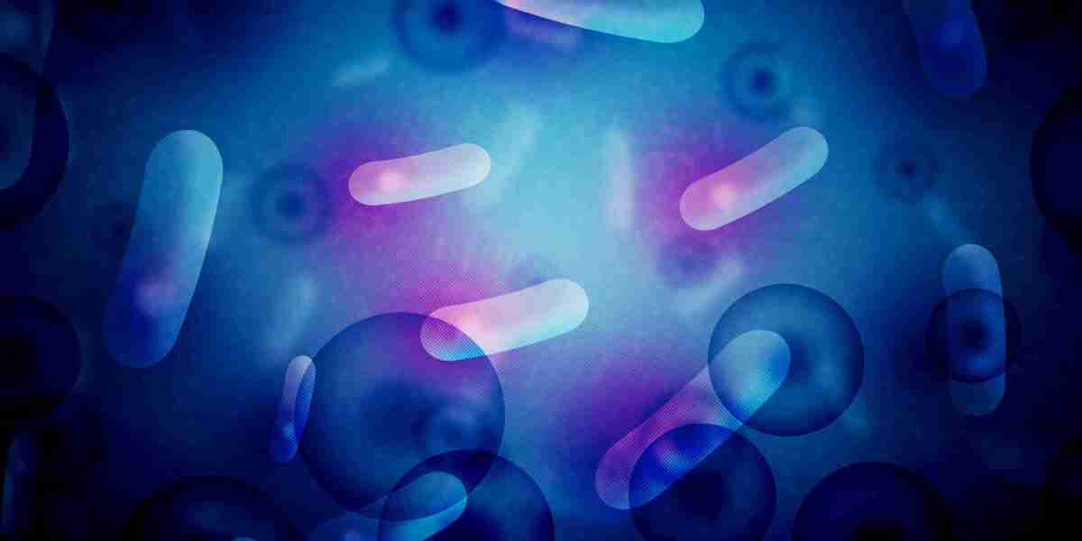 Best Gold IRA Companies in 2022: A Comprehensive Overview