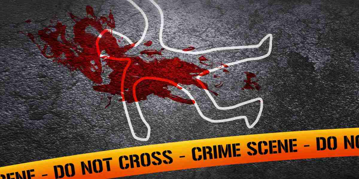 Fast Loans with No Credit Check: An In-Depth Analysis