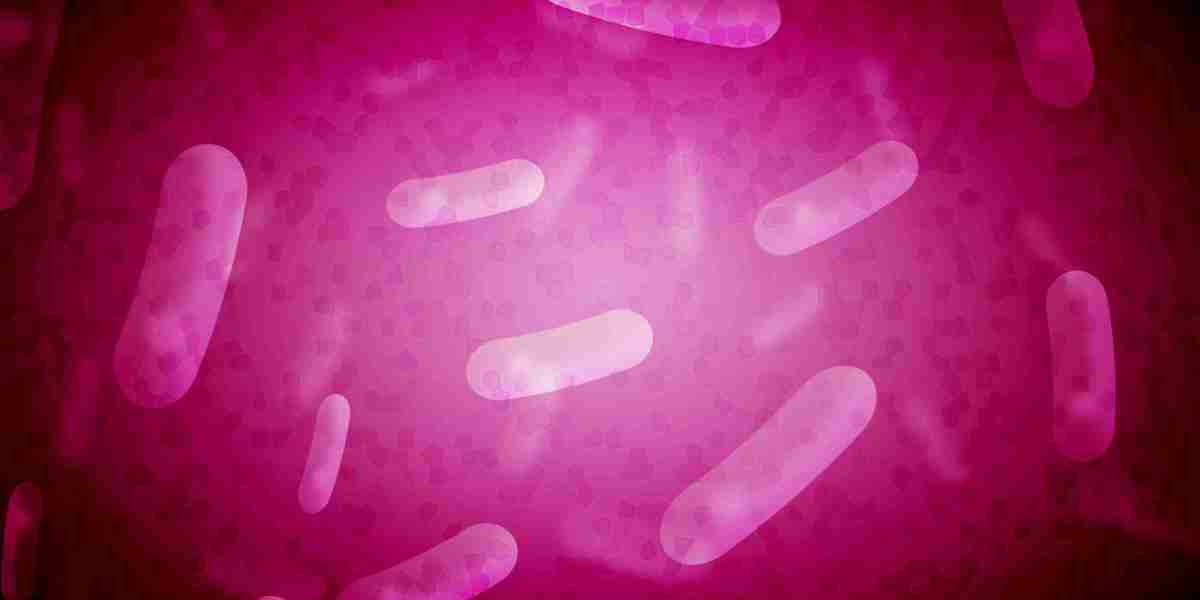 Best Gold Investment Companies: A Comprehensive Case Study