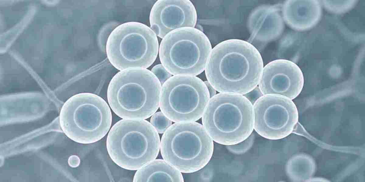 Human Embryonic Stem Cell Market Business Impact and Strategic Insights