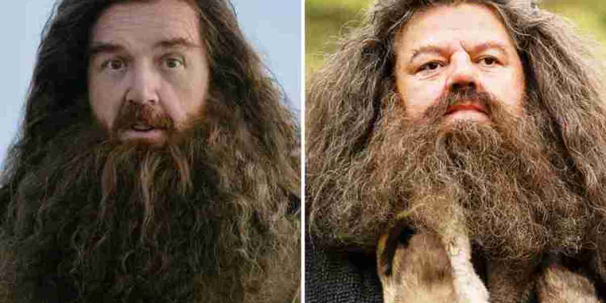 Harry Potter Series: Nick Frost’s Unique Hagrid Audition