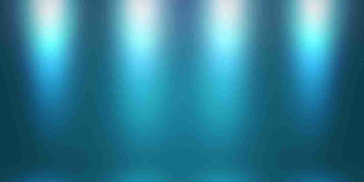 The Viability of a $500 No Credit Check Loan: A Case Study