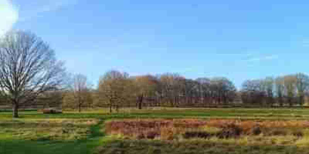 Spiritual Teachers List: Understanding Their Influence and Teachings