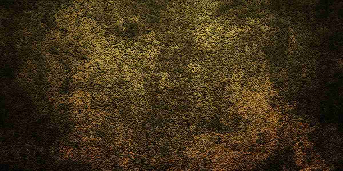 The Rise of Sugar Daddy Sites in Dubai: A Case Study