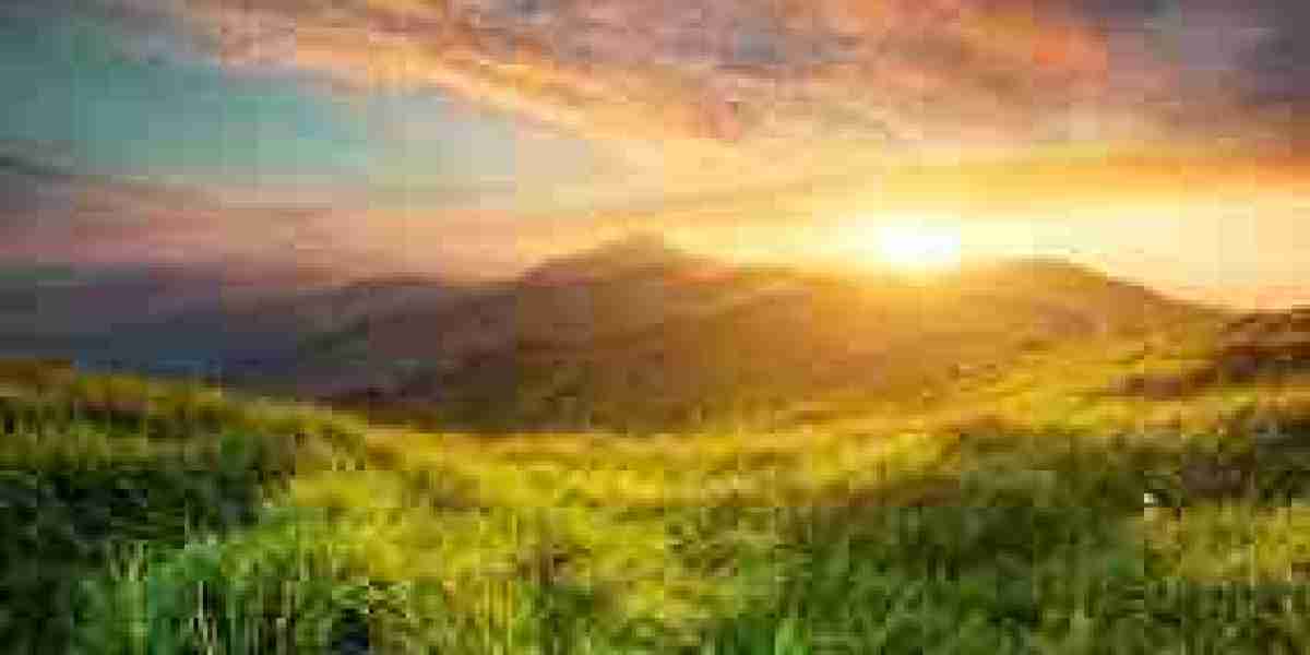 2026’s Hottest Food Trend: The Rise of Climate-Resilient Crops on Modern Menus