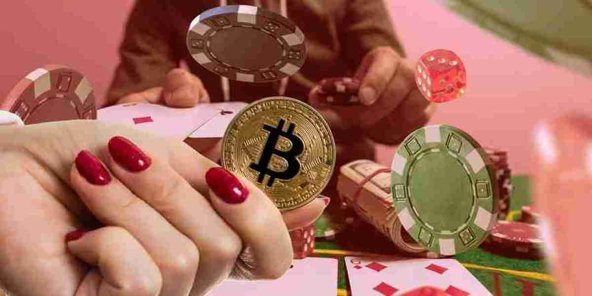 코인카지노 도메인 완벽 가이드