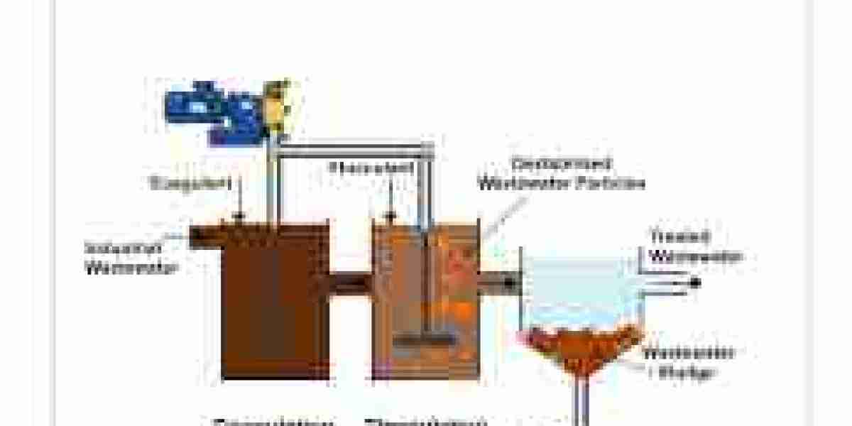 Flocculant and Coagulant Market Outlook: Growth Trends and Industry Forecast