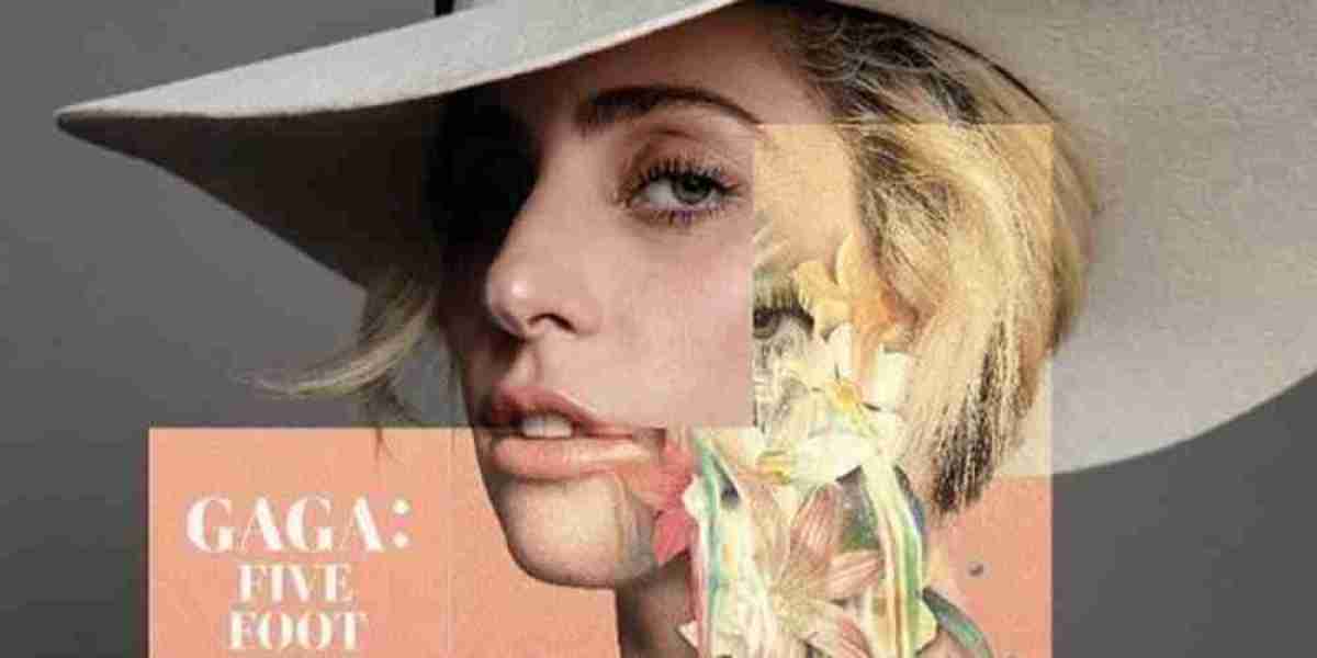 Lady Gaga: Fame, Controversy & Artistry