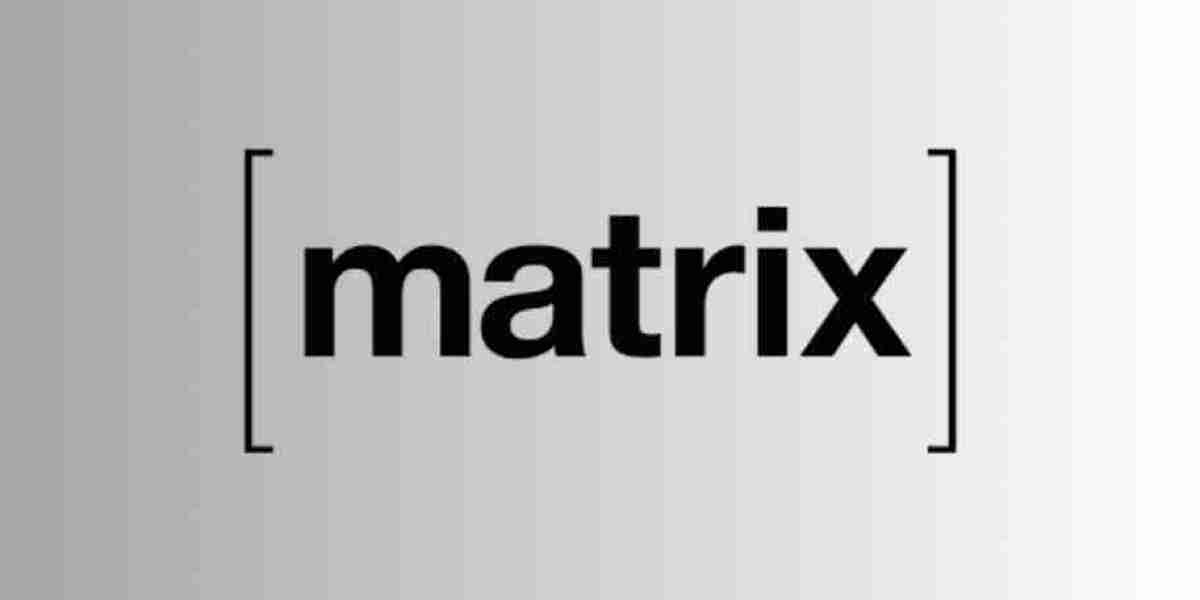 Matrix vodozemac Crypto Library: Flaw Dispute Explained