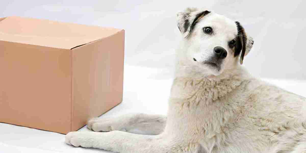 Natural Anxiety Relief Products for Dogs