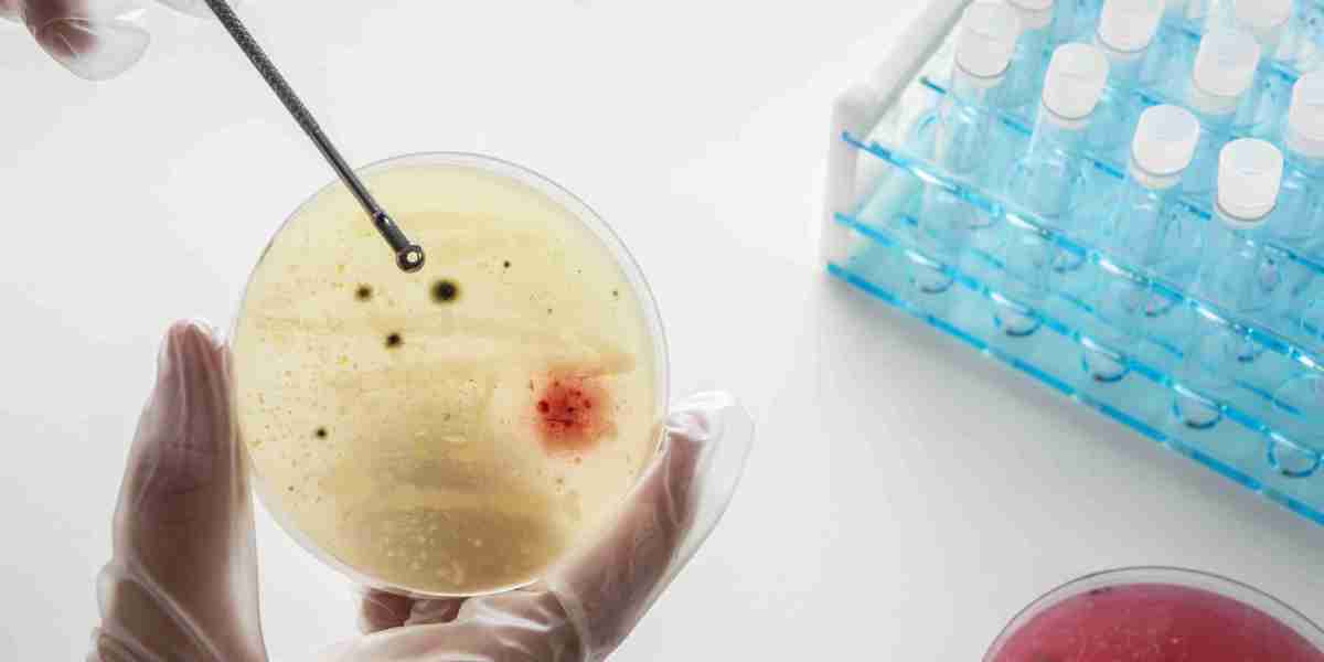 Global Diagnostic Testing Market Outlook & Growth Factors