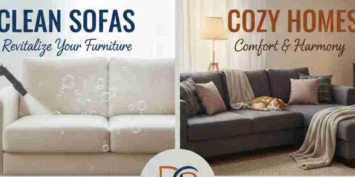Clean Sofas, Cozy Homes