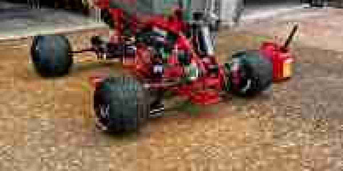 Choosing the Right Mini Quad Bike