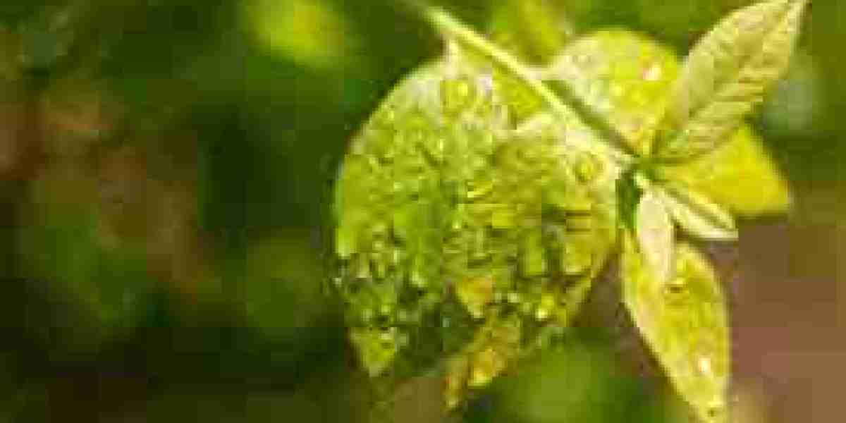 Nature-Based Innovation Transforming Waterways in 2026