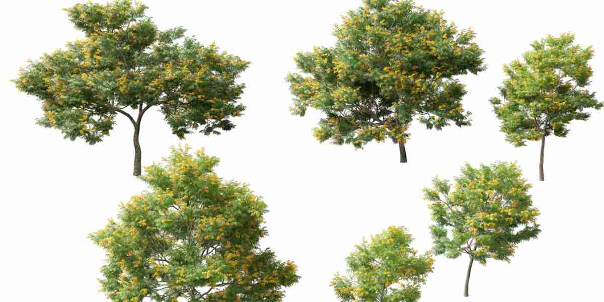 Blender Tree 3D Model – High-Quality, Ready-to-Use Nature Assets for Rendering & Animation