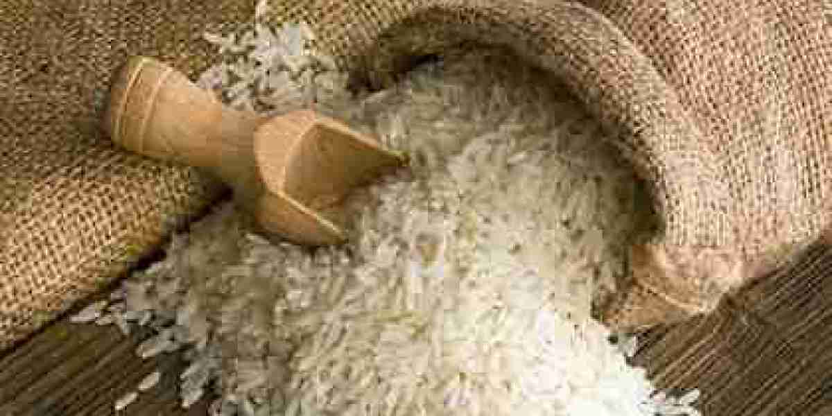 India’s Leading Basmati Rice Exporters & Market Trends