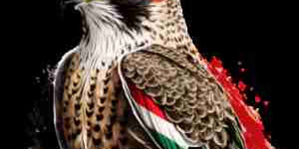 Online advertising Dubai