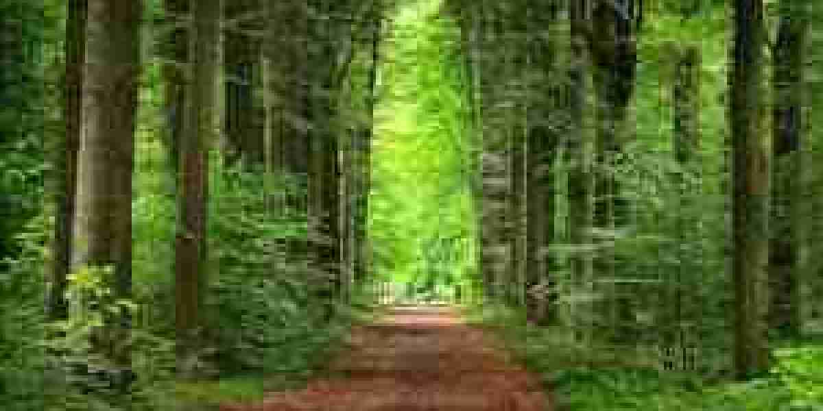 How Smart Restoration Is Shaping Nature’s Future in 2026