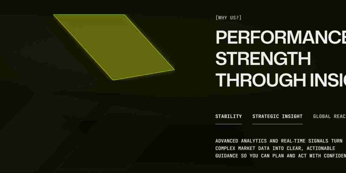 TrueMagnumWay Reviews Outline Platform Improvement Areas