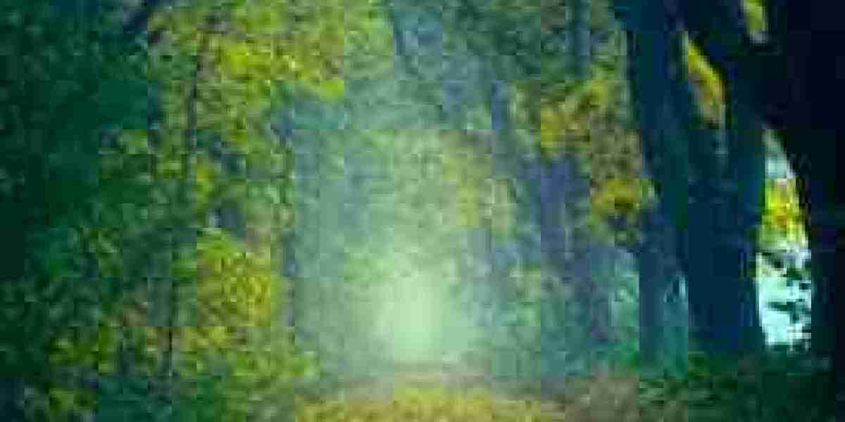 How AI and Data Are Redefining Customer Experience in 2026