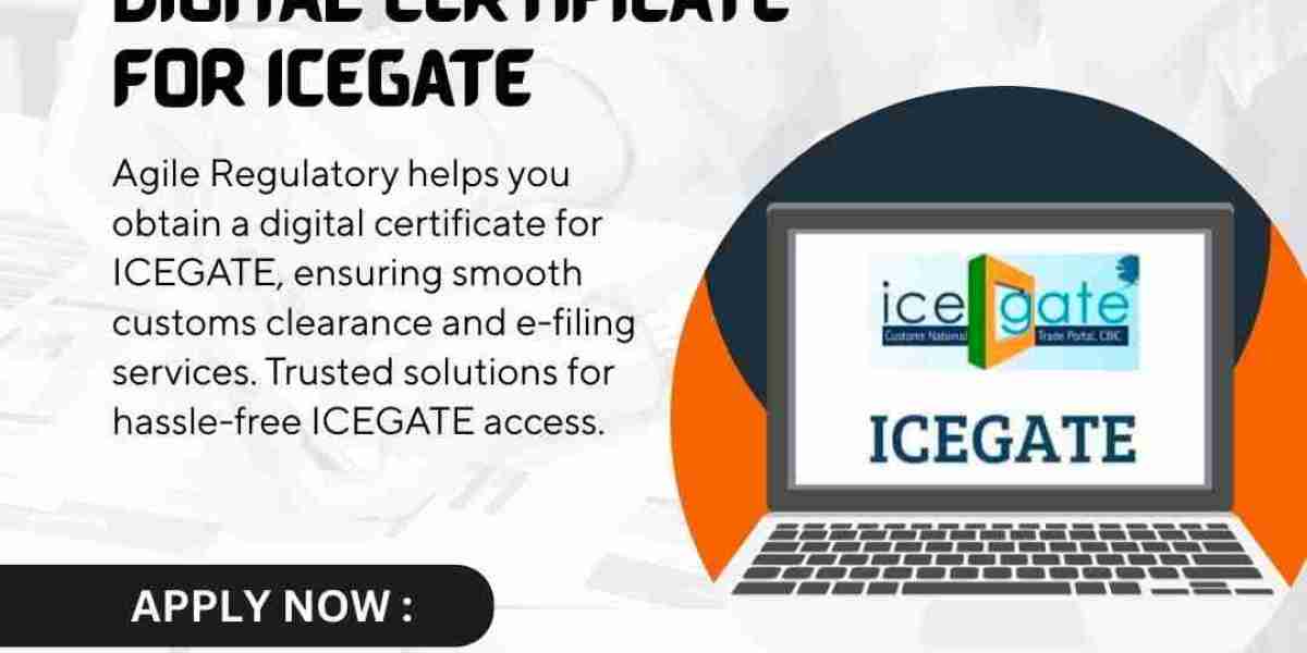 Step-by-Step Process to Apply for a Digital Certificate for ICEGATE